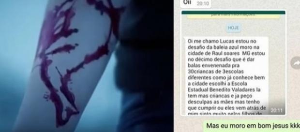 O que você ainda não sabe sobre o Baleia Azul O que você ainda não sabe sobre o Baleia Azul