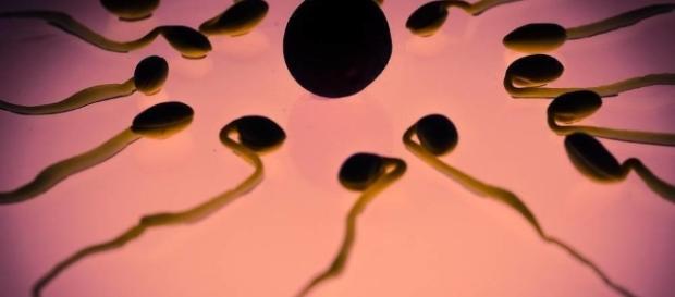 Testimonios de menores de 30 que se han esterilizado - Vice - vice.com Testimonios de menores de 30 que se han esterilizado - Vice - vice.com