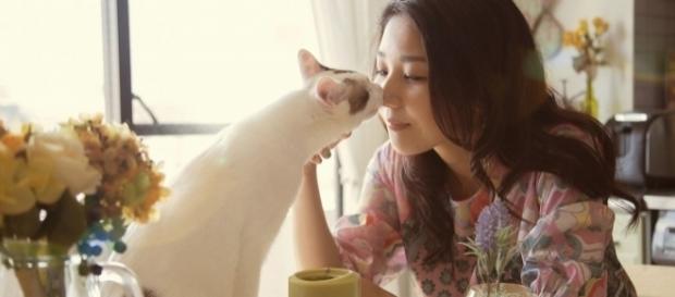 Voici comment votre chat vous prouve son amour Voici comment votre chat vous prouve son amour