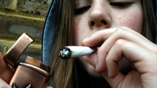 la spice si pu&ograve; confondere con la marijuana