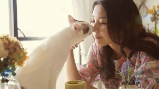 Voici comment votre chat vous prouve son amour
