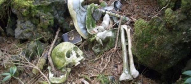 Akiogahara, a Floresta do Suicidío Akiogahara, a Floresta do Suicidío