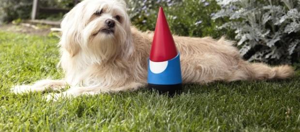 April Fool's Day: Best, Funniest Pranks of 2017 | Time.com - time.com April Fool's Day: Best, Funniest Pranks of 2017 | Time.com - time.com