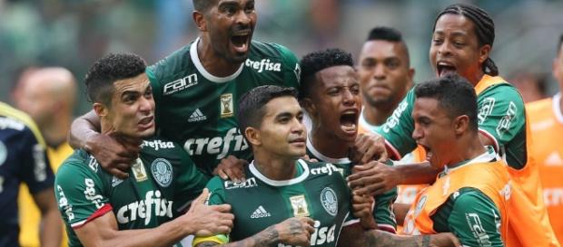 Assistir Novorizontino x Palmeiras ao vivo Assistir Novorizontino x Palmeiras ao vivo