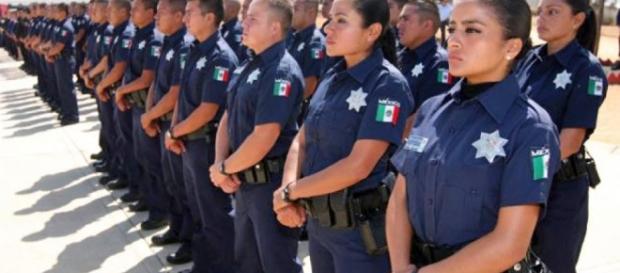 Ofertan 300 plazas para Policía Investigadora. Ofertan 300 plazas para Policía Investigadora.