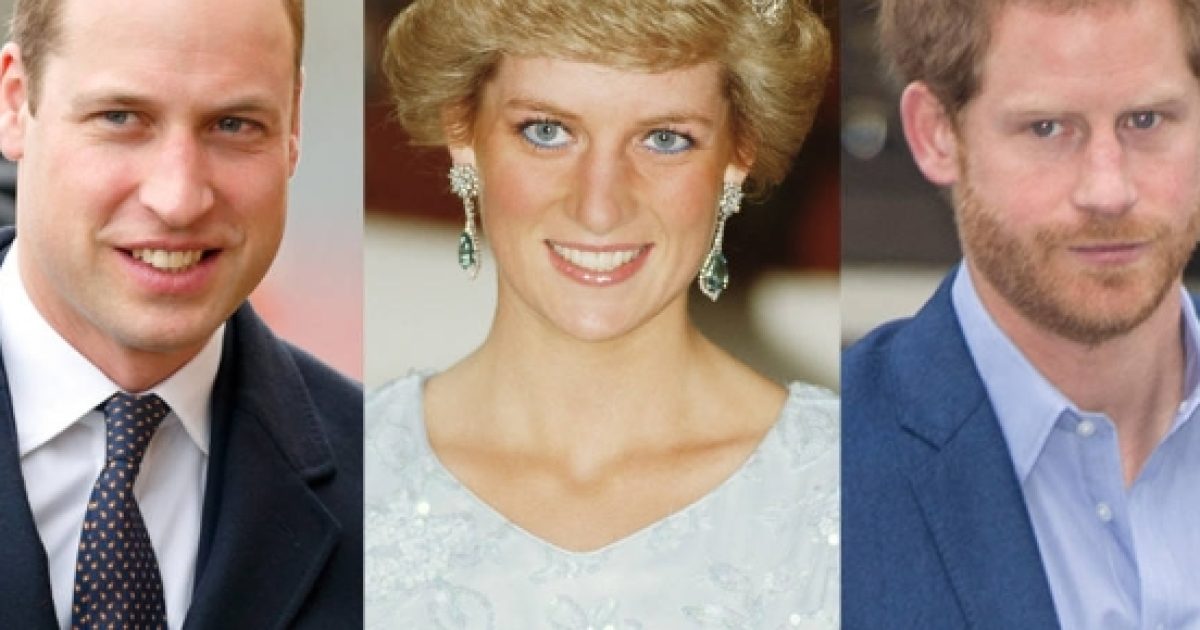 Prince William and Prince Harry still grieving loss of Princess Diana