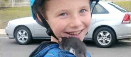 Family Sues Petco After Calif. Boy, 10, Dies From Rat Bite Fever ... - go.com