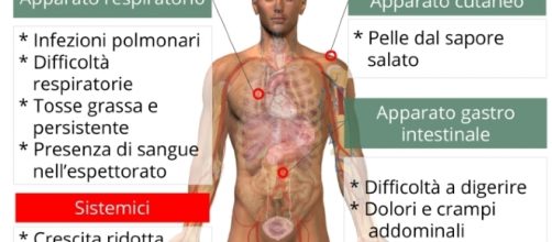 Trovato un aiuto per la cura della fibrosi cistica.