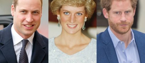 Two Decades After Princess Diana's Death, Why William and Harry ... - eonline.com
