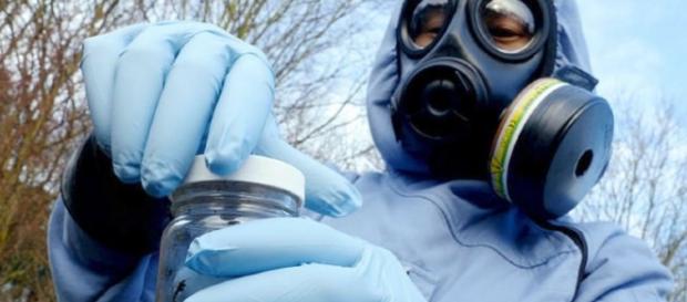 Científicos británicos analizaron muestras biomédicas de 10 vícitimas, que demostraron exposición a sarín (Foto - Flickr oficial OPAQ) Científicos británicos analizaron muestras biomédicas de 10 vícitimas, que demostraron exposición a sarín (Foto - Flickr oficial OPAQ)