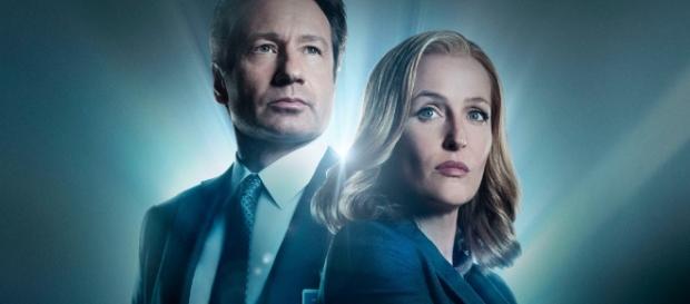 David Duchovny - Bloody Disgusting! - bloody-disgusting.com David Duchovny - Bloody Disgusting! - bloody-disgusting.com