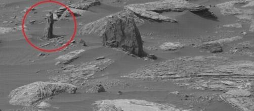 Fig.1 albero su Marte- (Fonte paranormal crucible)