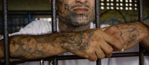 MS-13 Gang Epidemic Tests Obama's Amnesty Excuse | Stock News ... - investors.com