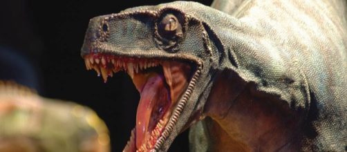 un esemplare di dinosauro in mostra al Mudec