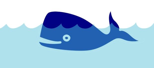 A imagem da Baleia Azul é simbolo do jogo e geralmente é utilizada por participantes em redes sociais (imagem por stux via Pixabay) A imagem da Baleia Azul é simbolo do jogo e geralmente é utilizada por participantes em redes sociais (imagem por stux via Pixabay)