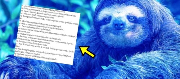 Preguiça Azul surge para concorrer contra 'Baleia' - Imagem/Google Preguiça Azul surge para concorrer contra 'Baleia' - Imagem/Google