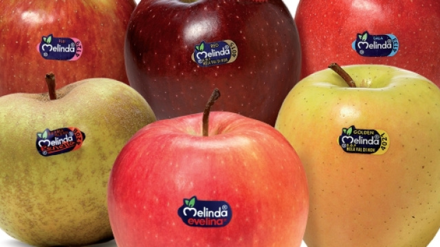 Numerose opportunit&agrave; di lavoro nel marchio Melinda