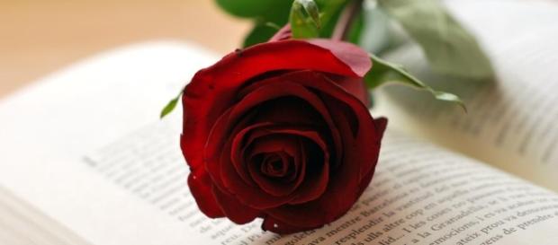 Cataluña celebra a su patrono Sant Jordi Cataluña celebra a su patrono Sant Jordi