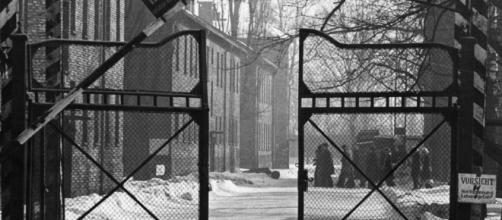 Stop Belittling The Holocaust With Your Stupid Nazi Analogies - thefederalist.com