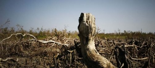 Il riscaldamento globale non ha mai raggiunto ritmi così elevati, conseguenze catastrofiche se continua così - rainews.it