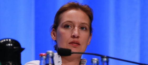 Alice Weidel, AfD. (Source URG Suisse: metropolico.org / flickr / CC BY-SA 2.0) Alice Weidel, AfD. (Source URG Suisse: metropolico.org / flickr / CC BY-SA 2.0)