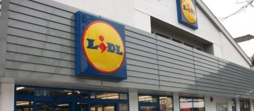 Lidl, le offerte di lavoro da aprile.