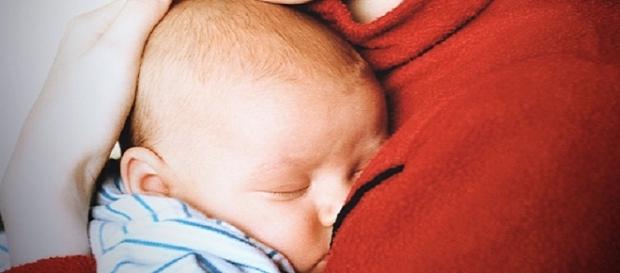 La gestación subrogada como negocio La gestación subrogada como negocio