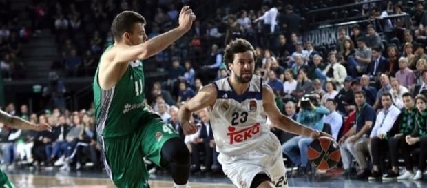 Sergio Llull lleva al Real Madrid a su quinta Final Four en los últimos siete años (Fuente: euroleague.net) Sergio Llull lleva al Real Madrid a su quinta Final Four en los últimos siete años (Fuente: euroleague.net)