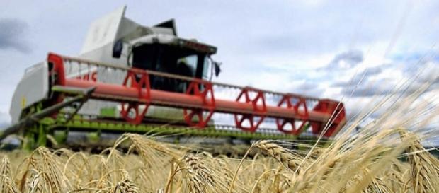 Südwest: Landwirtschaft fühlt sich doppelt bestraft - badische ... - badische-zeitung.de Südwest: Landwirtschaft fühlt sich doppelt bestraft - badische ... - badische-zeitung.de