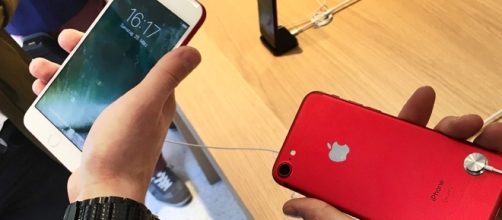 iPhone 7 Red/ Photo via Marco Verch, Flickr