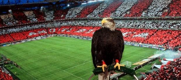 Estádio da Luz, a casa do Sport Lisboa e Benfica Estádio da Luz, a casa do Sport Lisboa e Benfica