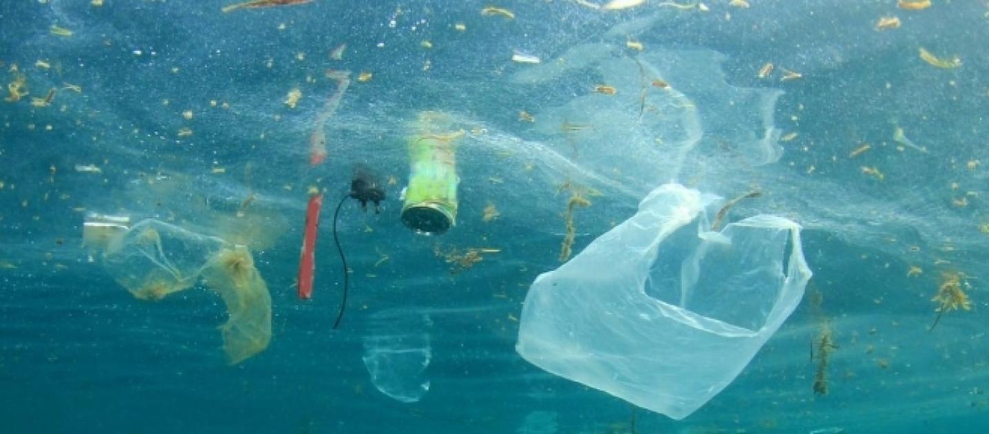 Mar Adriatico: Una Discarica Di Plastica A Cielo Aperto