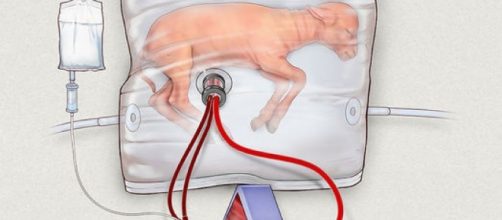 Des chercheurs créent un utérus artificiel pour grands prématurés ... - sciencesetavenir.fr