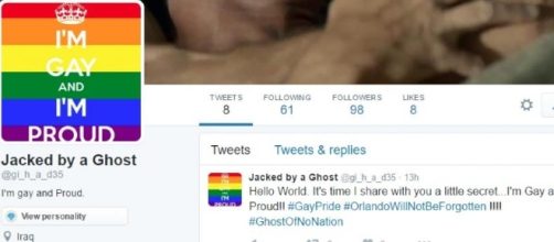 Un cyber fantasma 'trolla' gli account Twitter di simpatizzanti e affiliati Isis con immagini omosex. Foto: hackread.com.