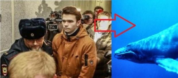 Suposto criador do Baleia Azul vai preso Suposto criador do Baleia Azul vai preso