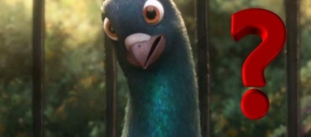 Os pombos são bem mais desenvolvidos do que parecem Os pombos são bem mais desenvolvidos do que parecem