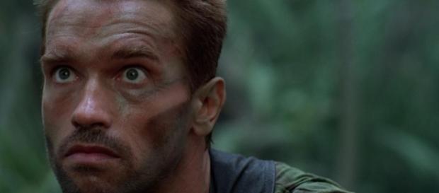 The Predator: Shane Black wants the movie to share the same tone ... - melty.com The Predator: Shane Black wants the movie to share the same tone ... - melty.com