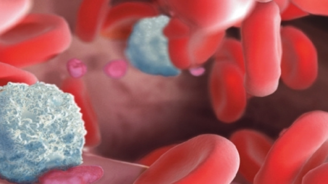 Scoperte 4 nuove cellule del sangue