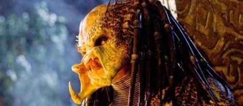 Has “The Predator” Found Its Prey? - horrorfreaknews.com