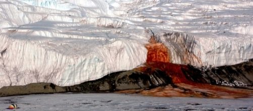 Il mistero delle cascate di sangue in Antartide: la scoperta impone nuove domande