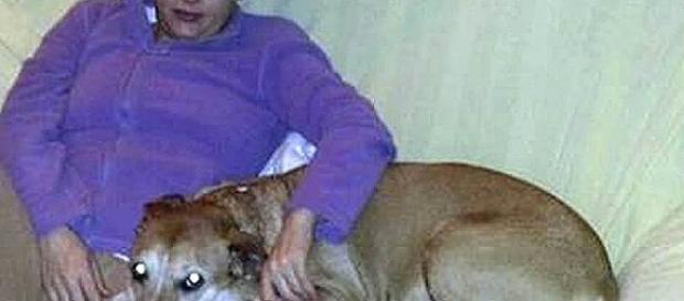 La justicia deniega a Teresa Romero, superviviente del ébola, la ... - lavozdeasturias.es La justicia deniega a Teresa Romero, superviviente del ébola, la ... - lavozdeasturias.es