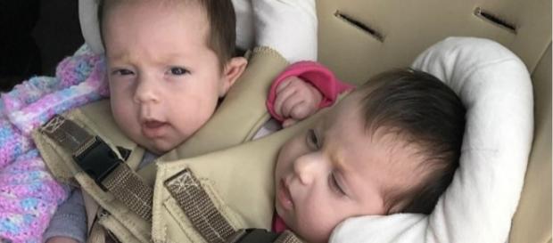 Os bebês de Chelsea Torres e Nick Os bebês de Chelsea Torres e Nick