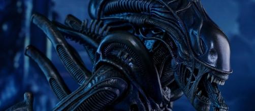 Aliens Alien Warrior Sixth Scale Figure by Hot Toys | Sideshow ... - sideshowtoy.com