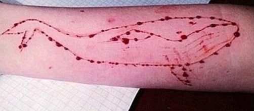 Blue Whale: il 'gioco della morte' spaventa sempre di più - ilmessaggero.it