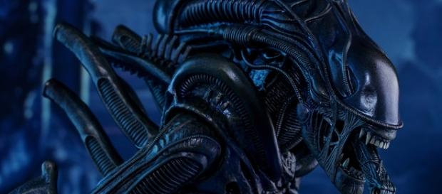 Aliens Alien Warrior Sixth Scale Figure by Hot Toys | Sideshow ... - sideshowtoy.com Aliens Alien Warrior Sixth Scale Figure by Hot Toys | Sideshow ... - sideshowtoy.com