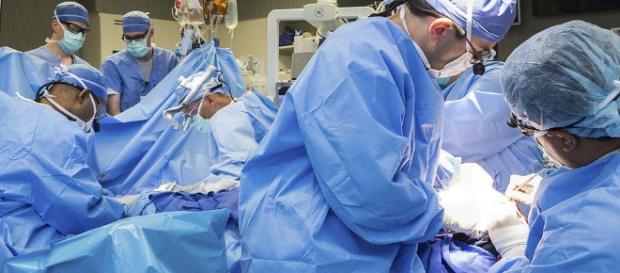 Face transplant recipient hails results after suicide bid | Daily ... - dailymail.co.uk Face transplant recipient hails results after suicide bid | Daily ... - dailymail.co.uk