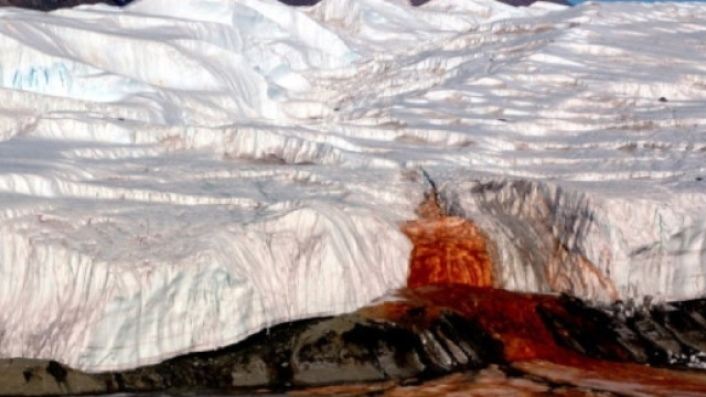 Antartide: "Cascate di sangue", risolto il mistero - Repubblica.it - repubblica.it