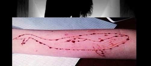 Jovens se cortam com faca e lâmina de barbear para desenhar a baleia azul no corpo