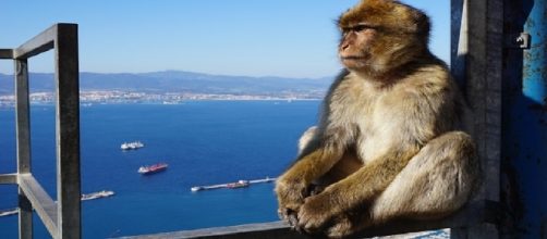 Spain and Britain continue to argue over Gibraltar