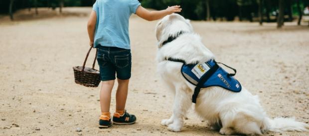 Asociación Autismo Costa del Sol: Perros de asistencia para niños ... - blogspot.com Asociación Autismo Costa del Sol: Perros de asistencia para niños ... - blogspot.com